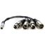 Picture of Atomos XLR Breakout Cable (in / out)