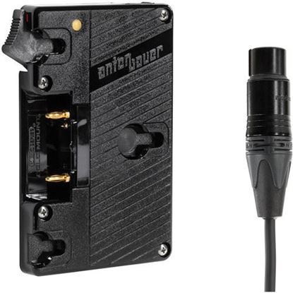 Picture of Wooden Camera - WC Gold Mount (XLR 4 Pin)