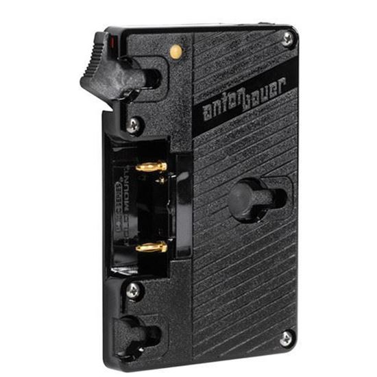 Picture of Wooden Camera - WC Gold Mount (CION)